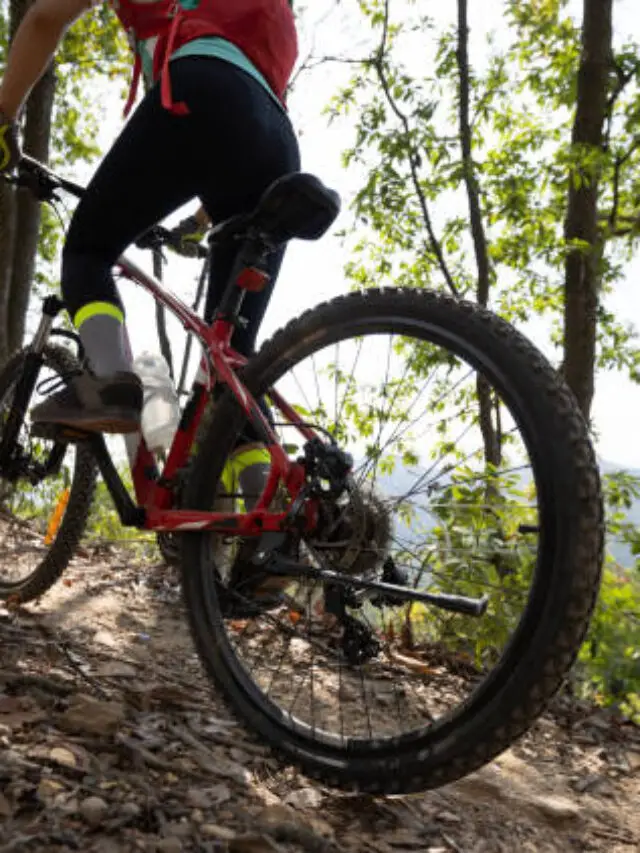 Woman cyclist cycling on mountain top forest trail
