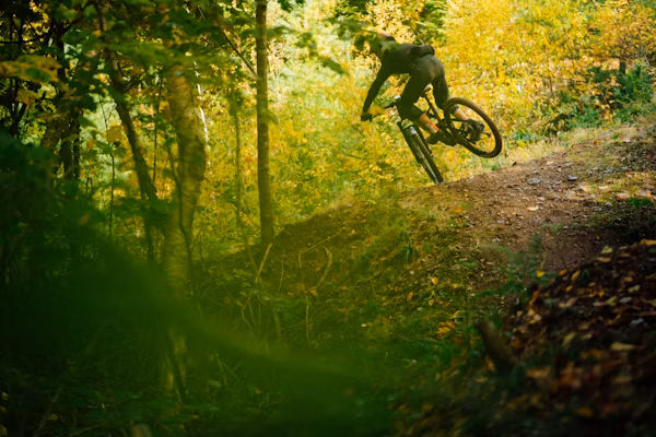 mtb10